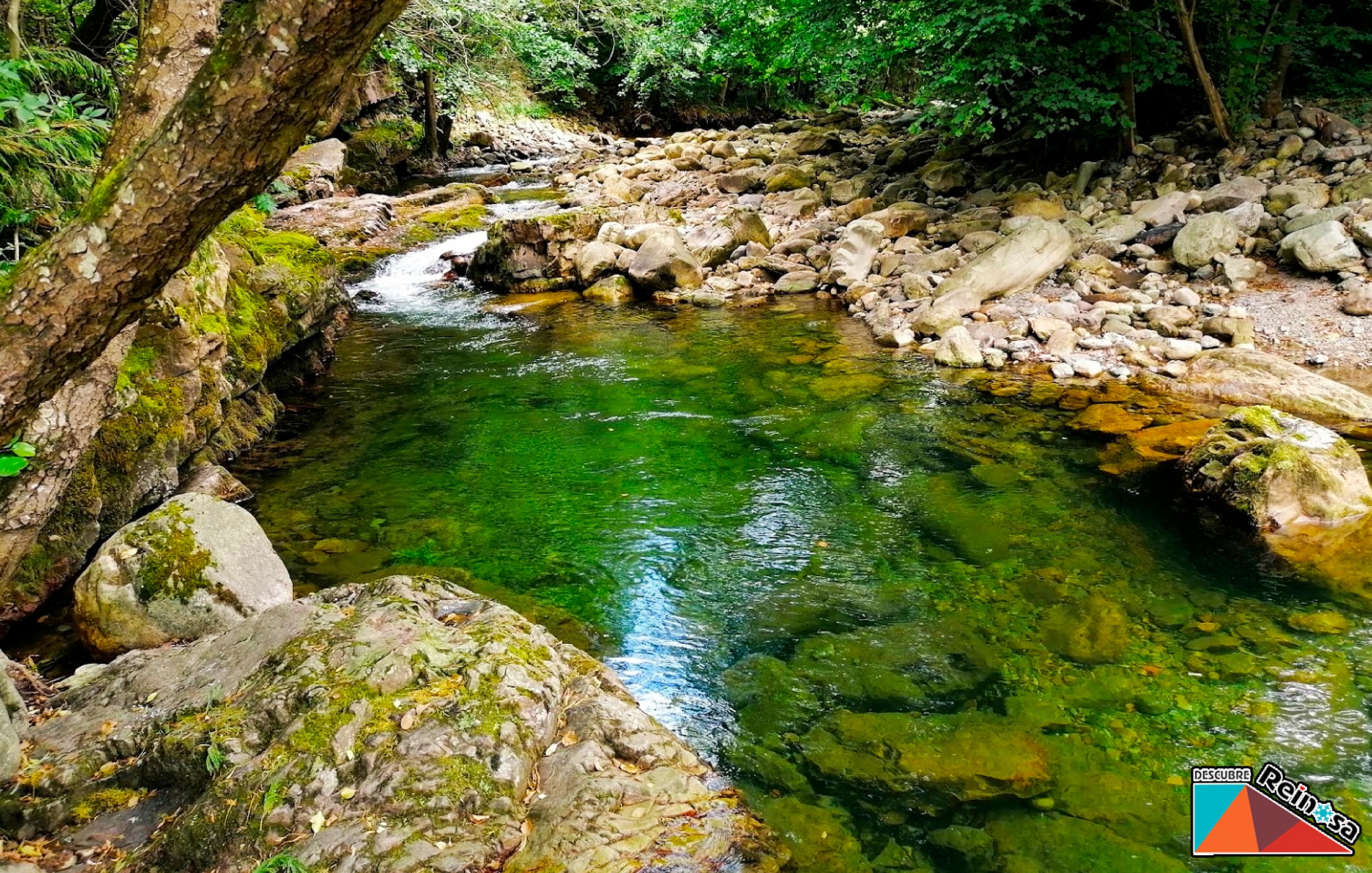 Parque del Saja-Besaya