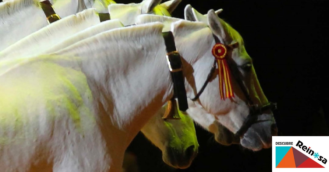 Eventos Reinosa Exposición Cría caballar Fuerzas Armadas