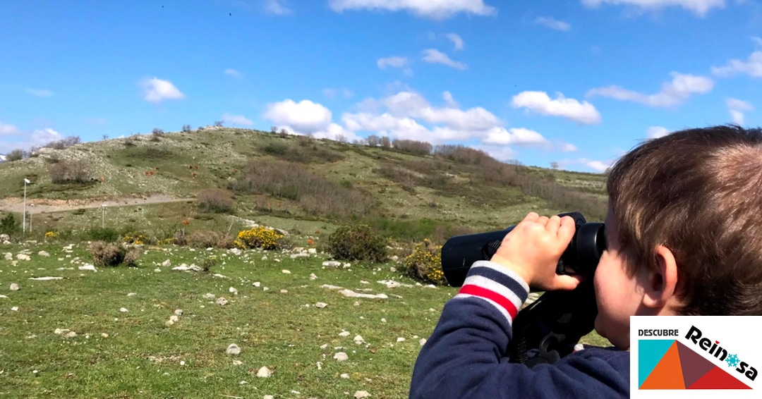 Noticias Reinosa El Ayuntamiento Reinosa Organiza un curso gratuito para niños sobre la fauna de la comarca